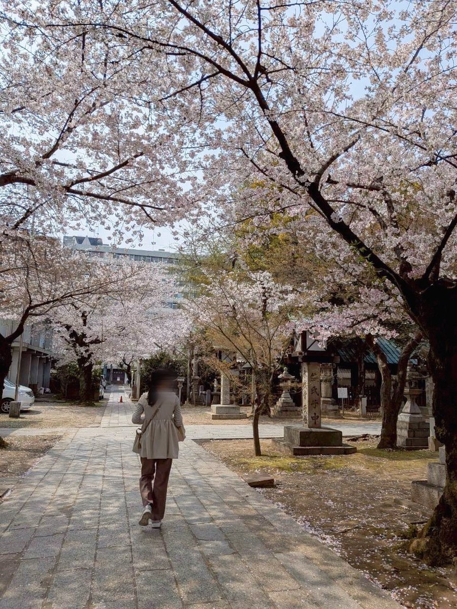 たまご🥚18w tweet media