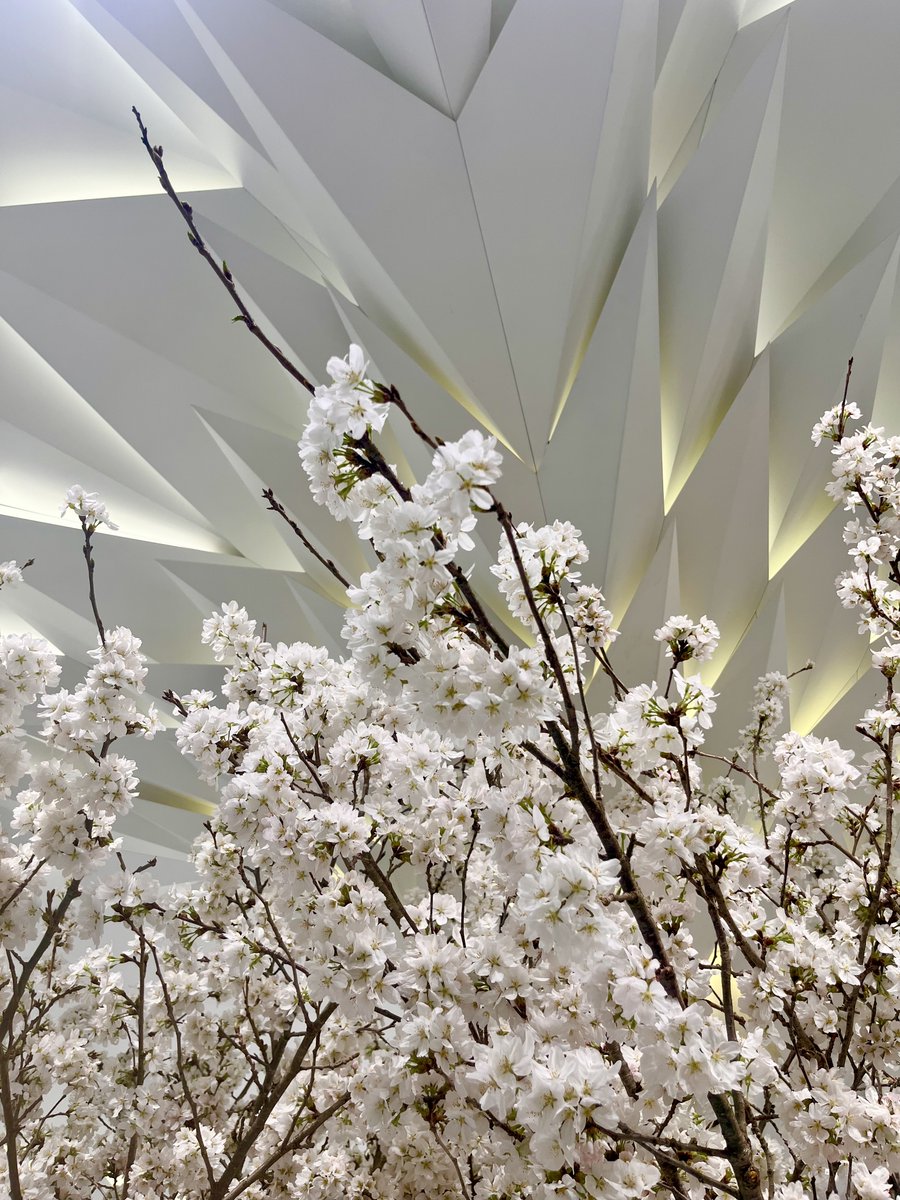 日本橋三越スタッフのつぶやき tweet media