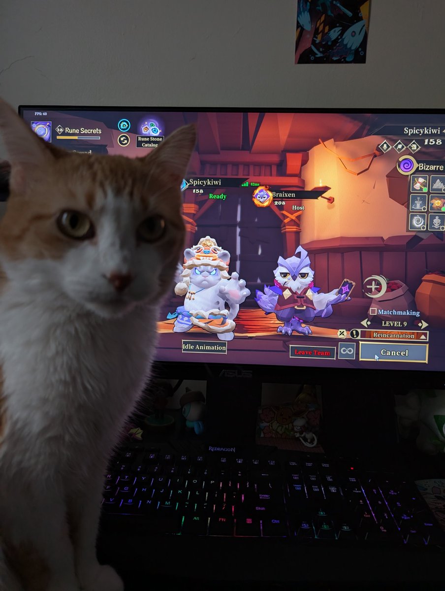 SpicyKiwi🥝 tweet media