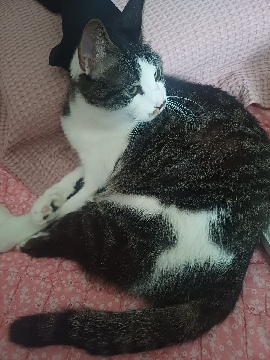 .beatnari* tweet media