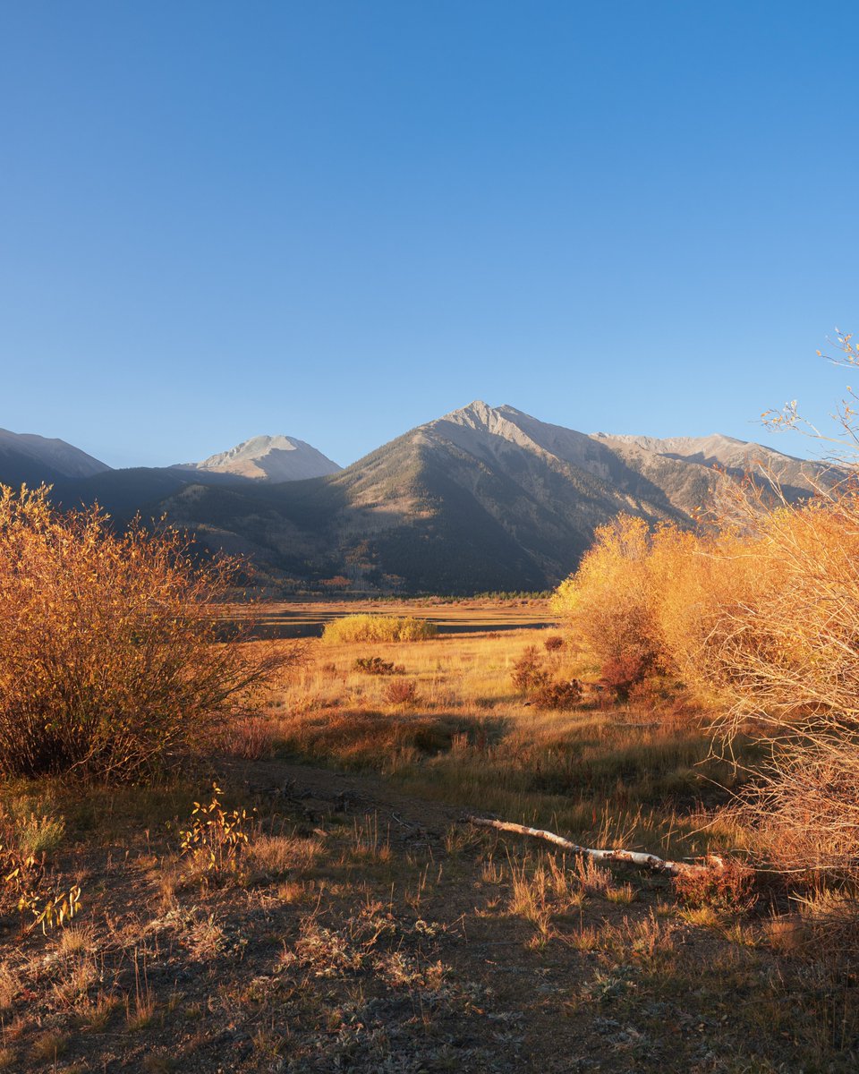 Chris Malchow tweet media