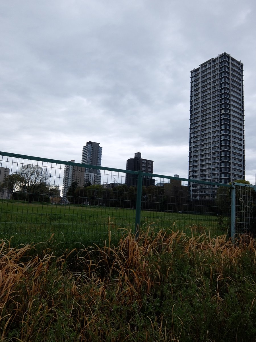 紙屋の丸楽【公式】＠紙の販売 tweet media