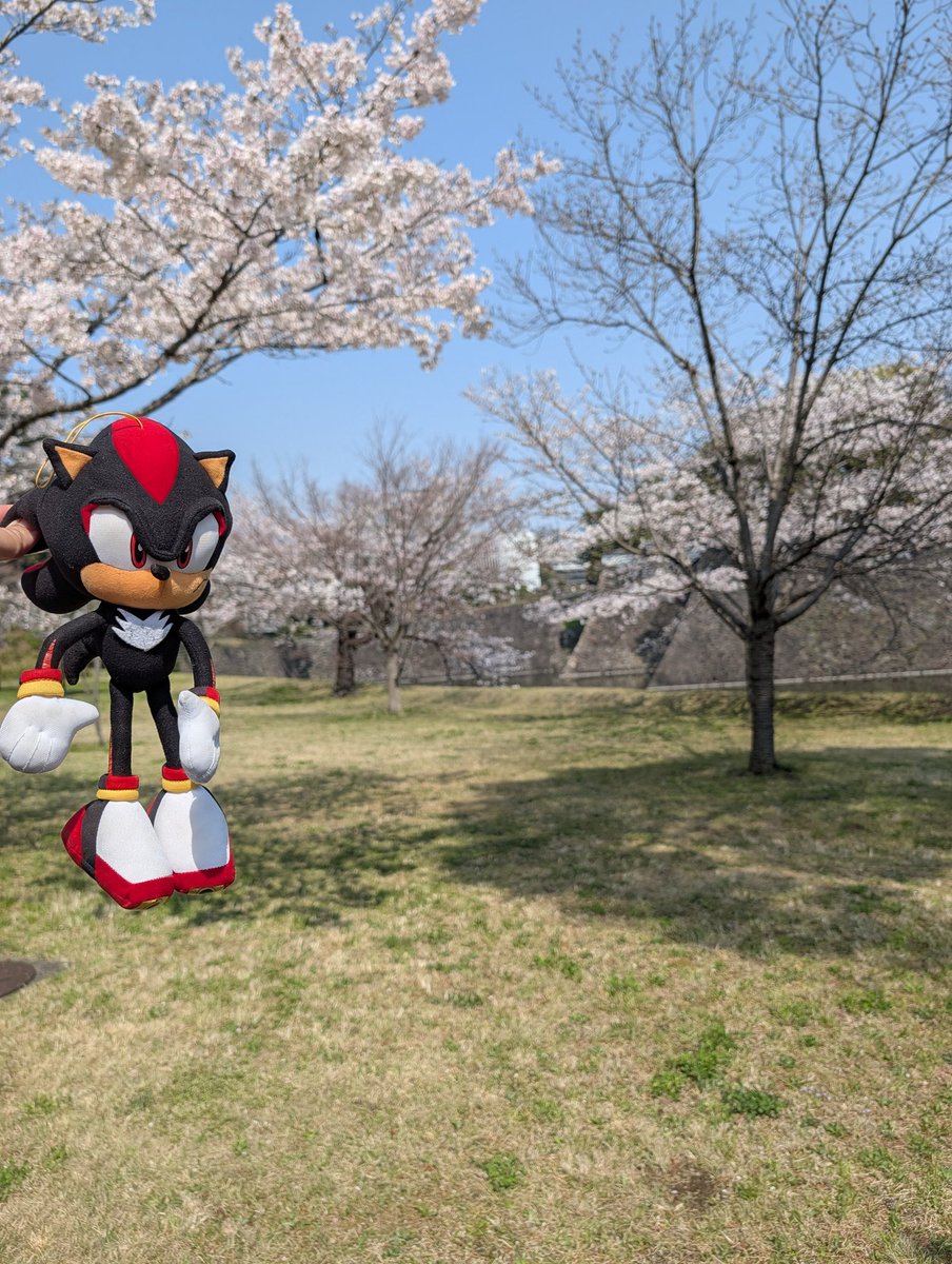 Ham (Travelling the World) @ 🇯🇵 tweet media