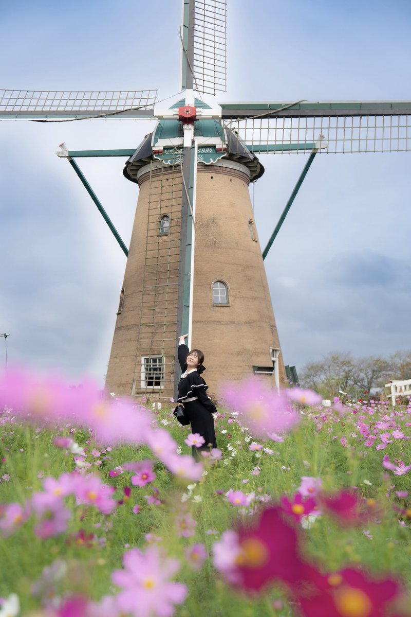 ほんごま(北郷ゆい)🦭目指せフォロワー 5000人チャレンジ❤️‍🔥挑戦中 tweet media