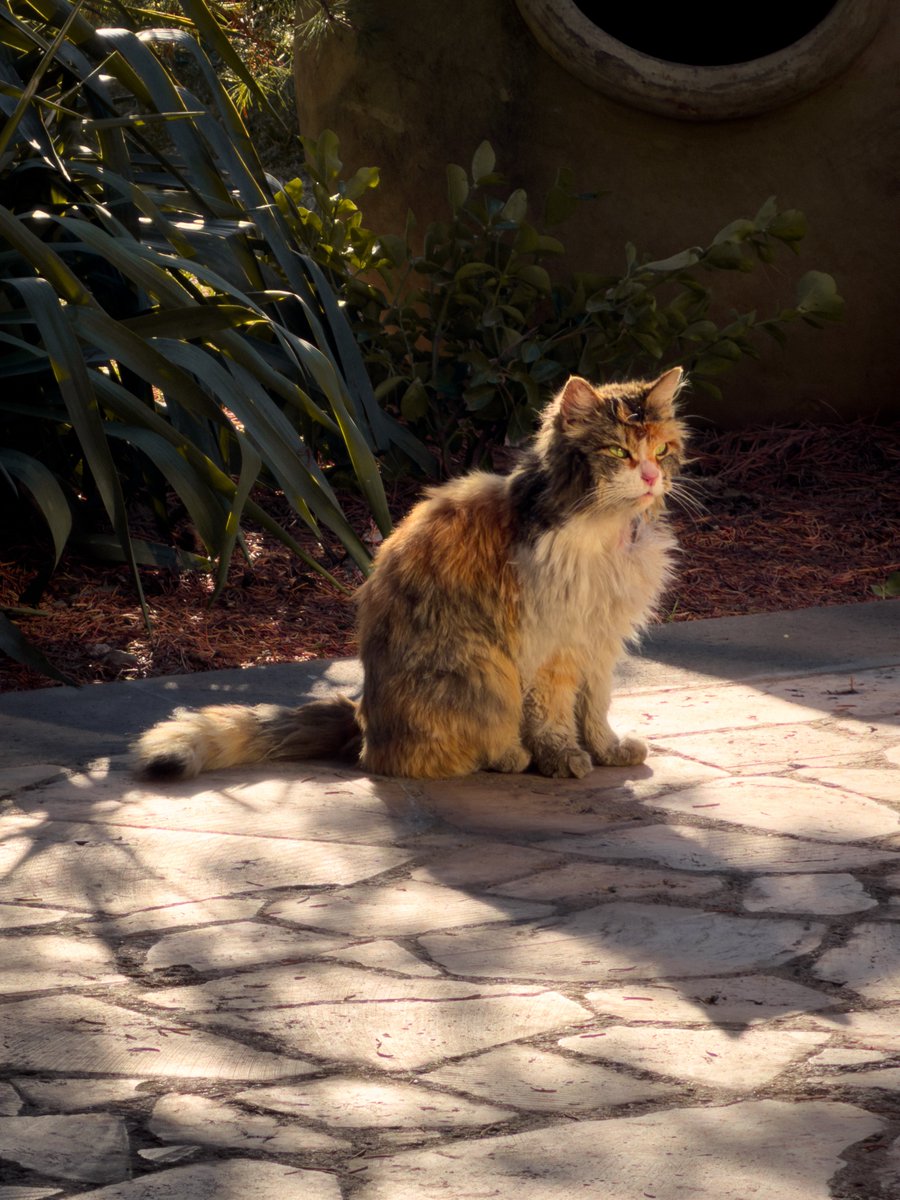 Courtney O’Dell tweet media