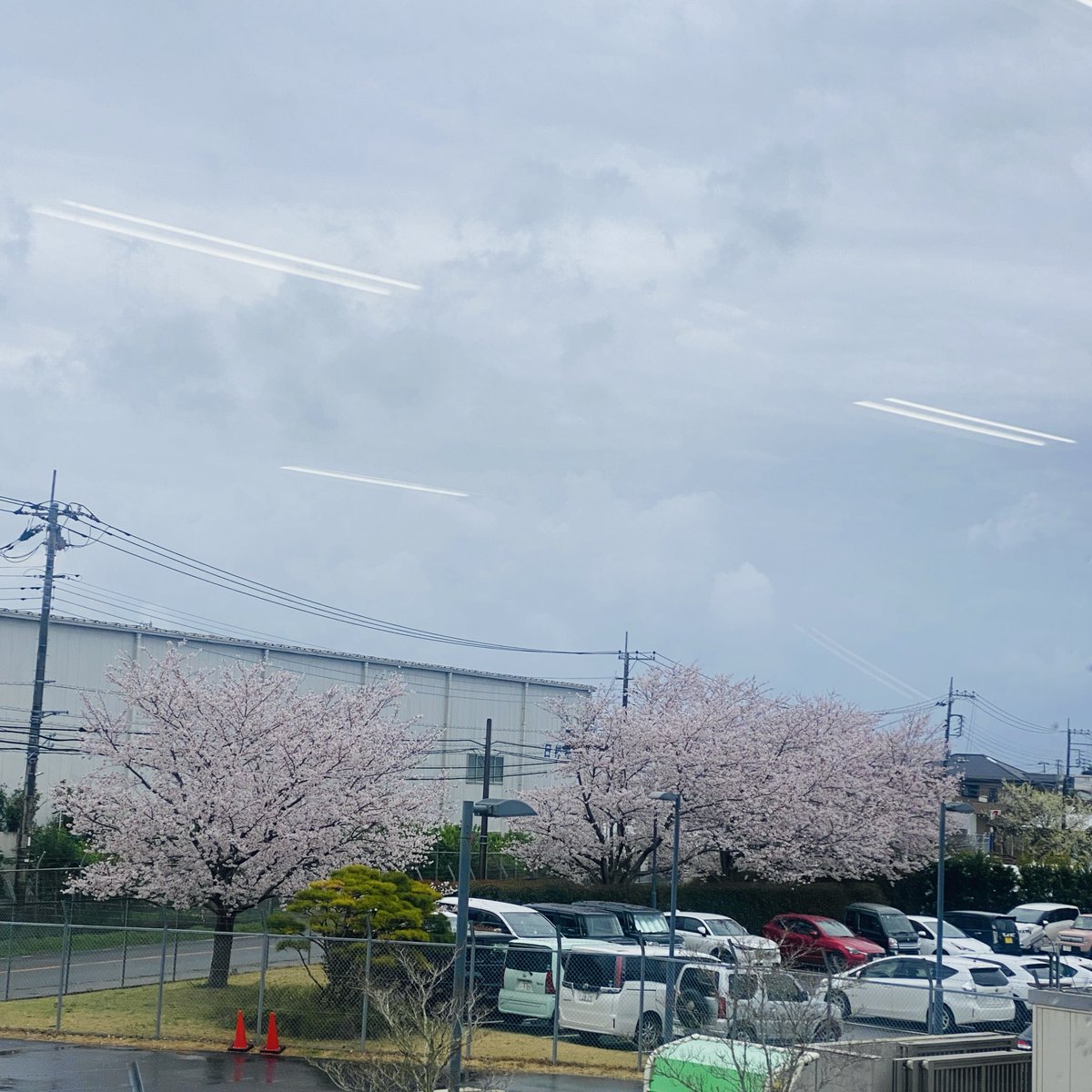 फलानी tweet media