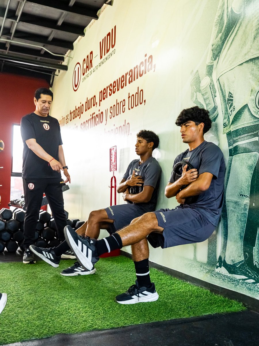 Divisiones Menores - Universitario tweet media