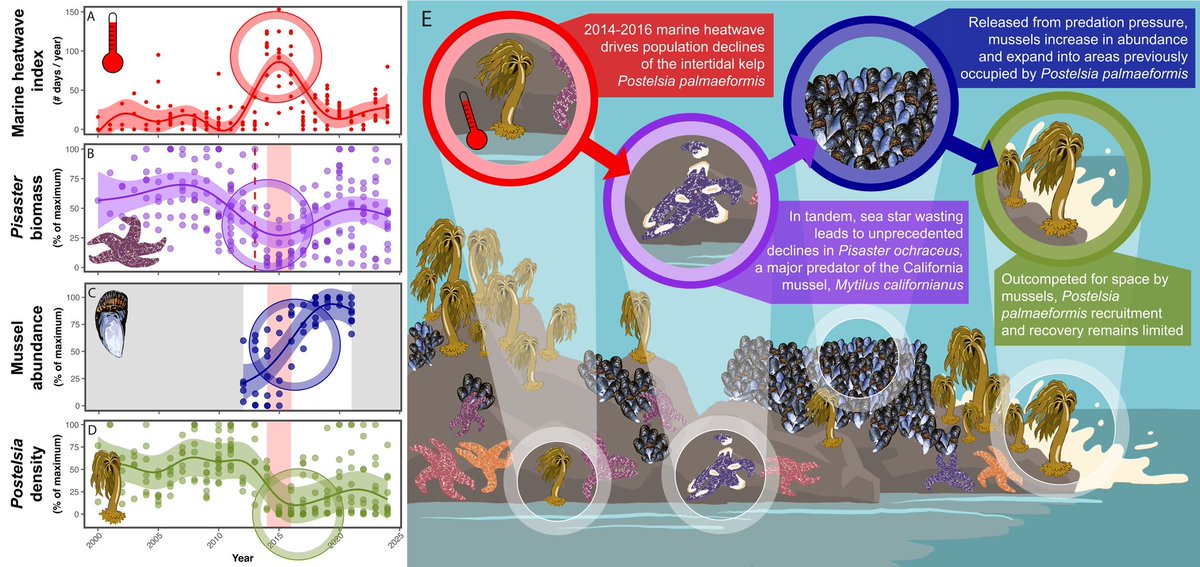 Frankie Gerraty tweet media