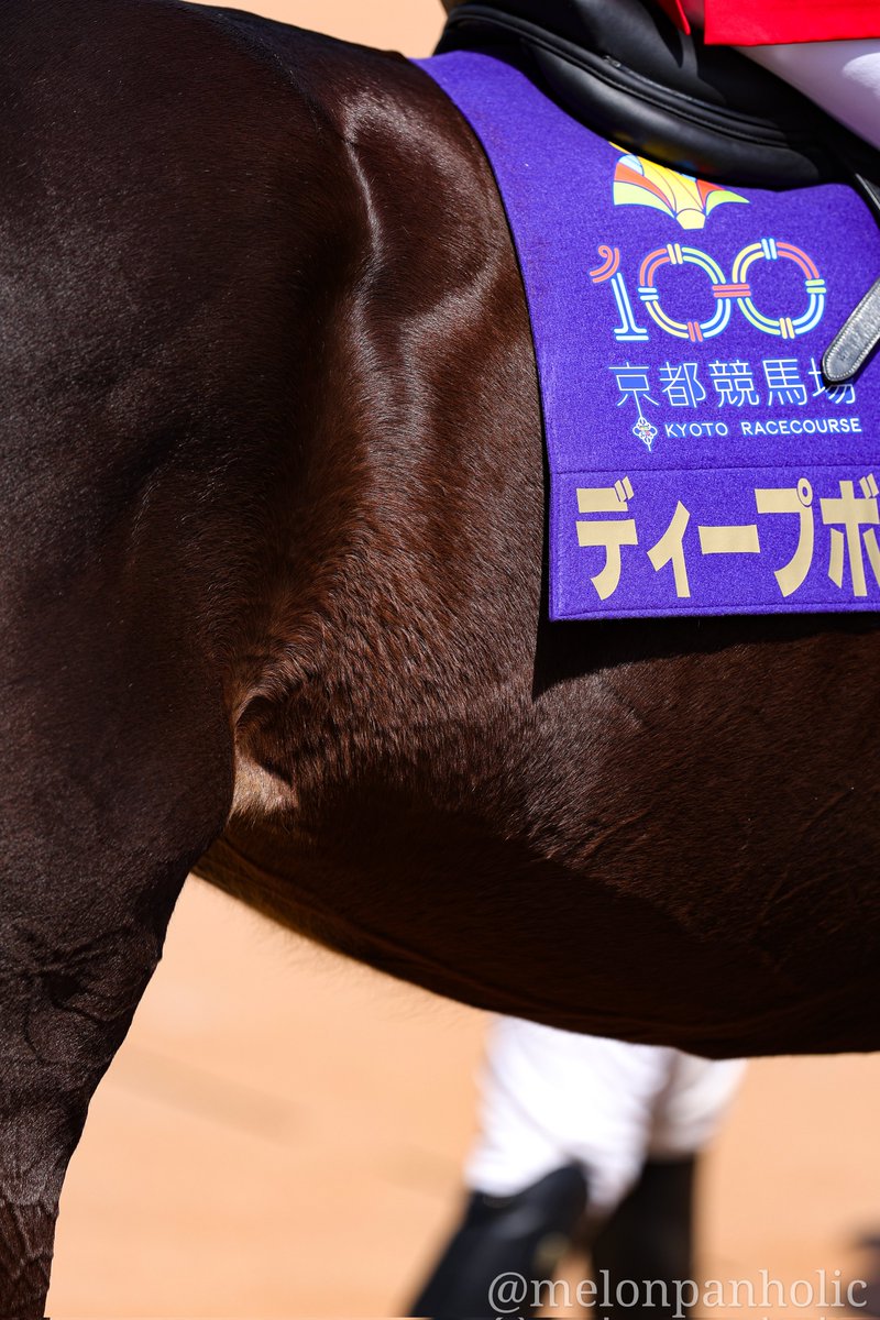 めろんぱんだ🐴📷(移行後) tweet media