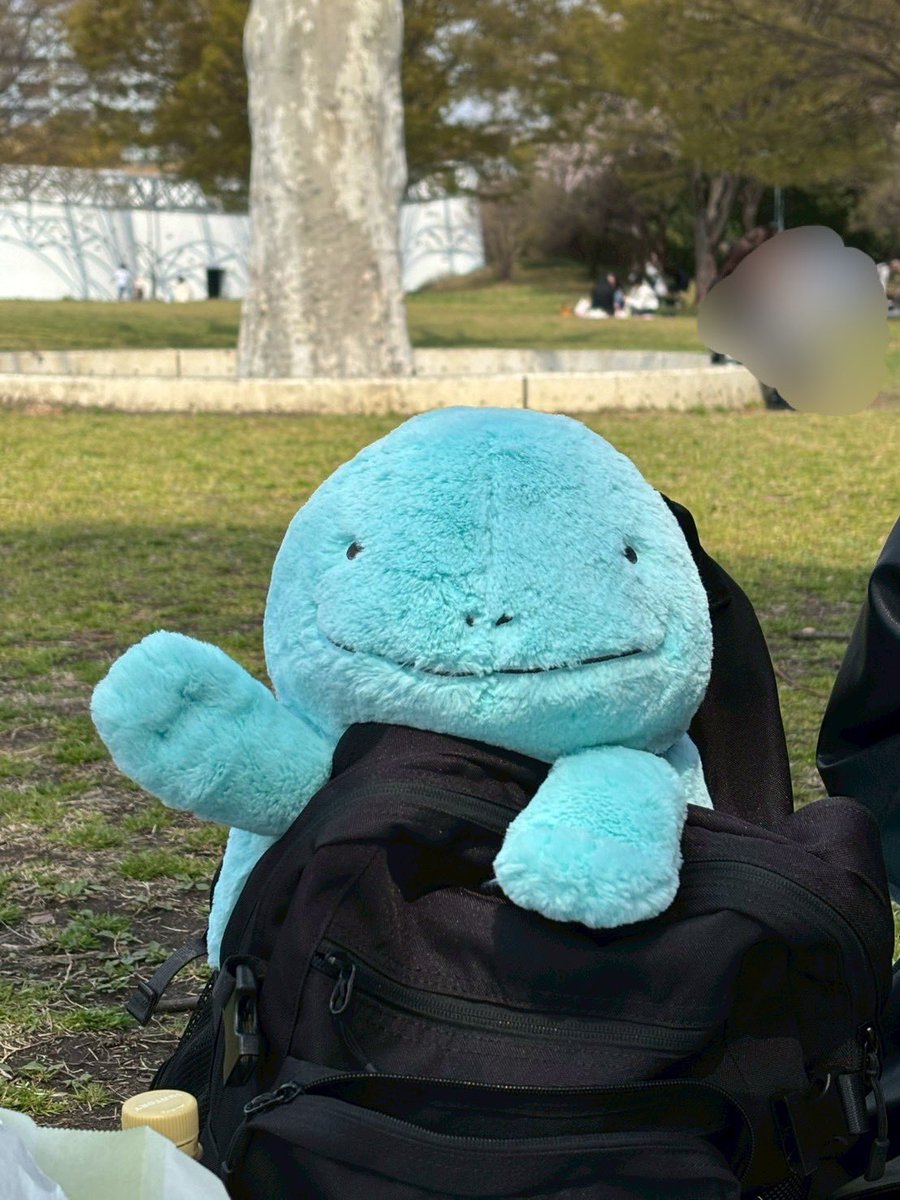 わたこ tweet media