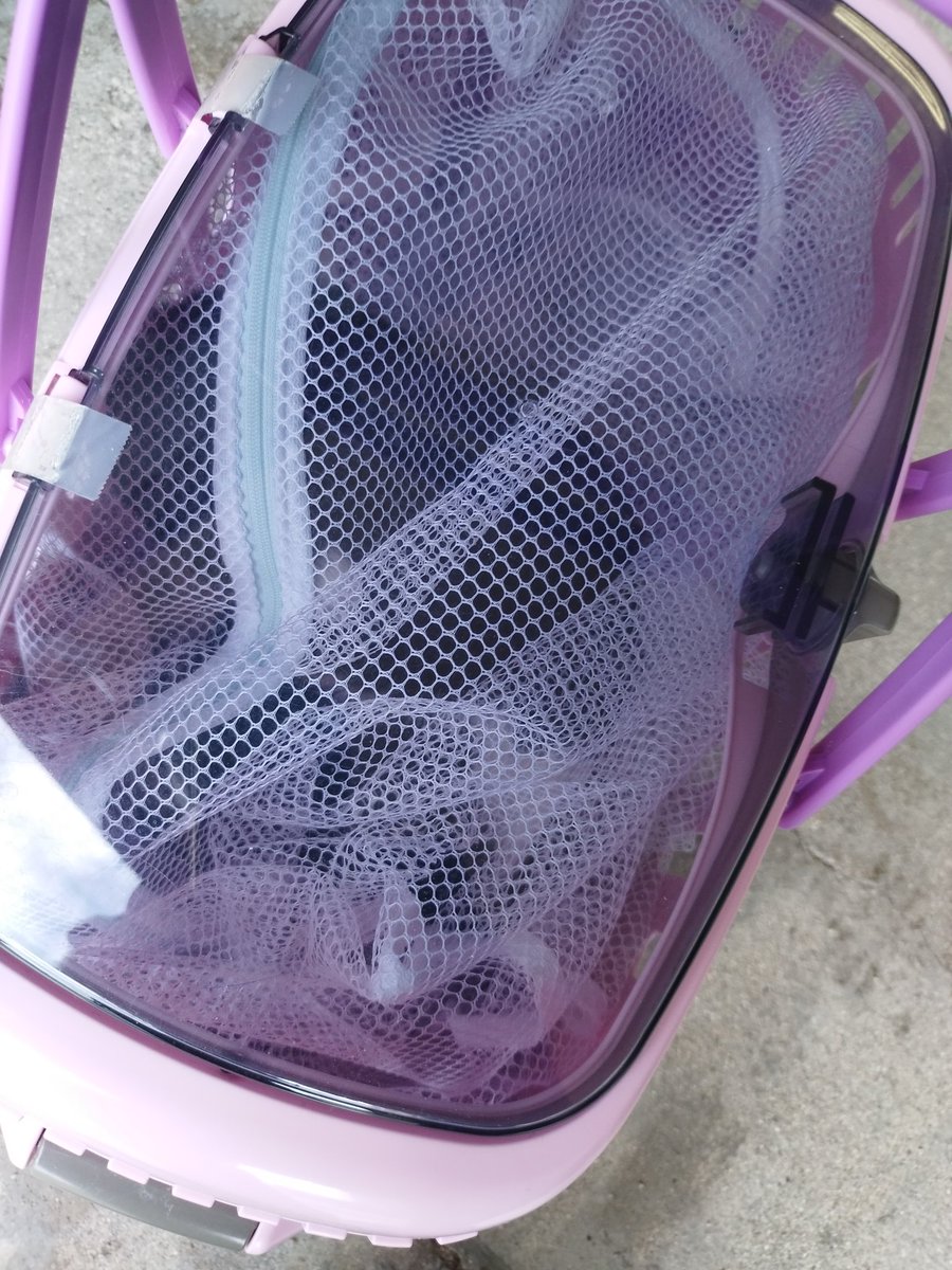 yamacafe＠チーム原付廃人１号 tweet media