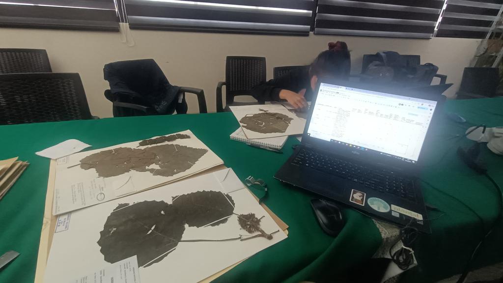 Participa el Director del Centro de Estudios Jardín Botánico en el curso internacional Plant Taxonomy Skills for Conservation 2026 en Bolivia organizado por RBG Kew, <a href="/mobotgarden/">MO Botanical Garden</a>  y la UMSA. #UniversidadCubana #VillaClaraConTodos