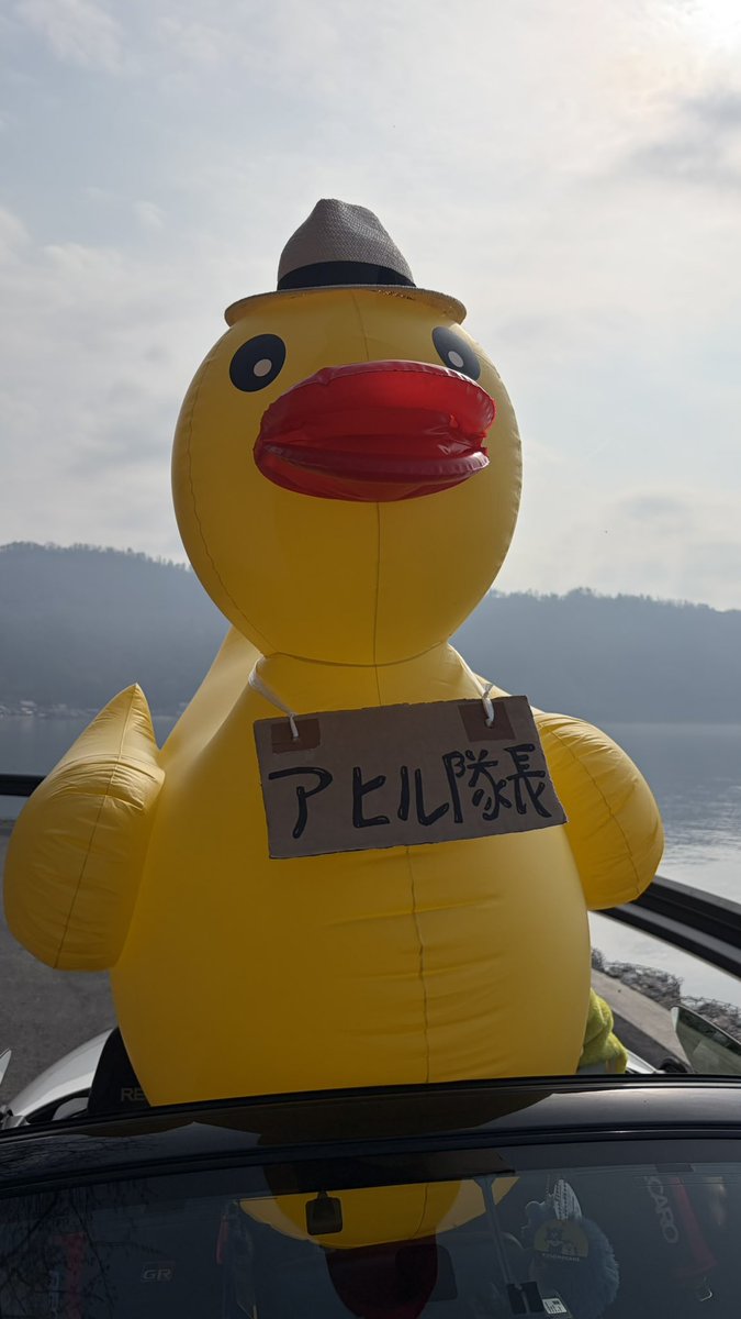 のぶ(+アヒル隊長) tweet media