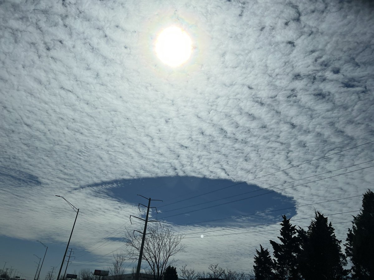 副代表 @チームWADA tweet media