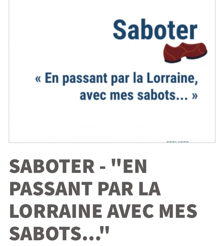 𝕄𝕖𝕠𝕨𝕝𝕝𝕚𝕠𝕟 tweet media