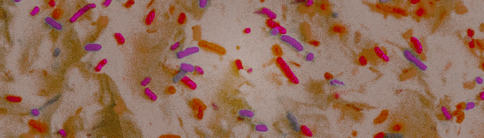 ‎‍‍‍ ‍‍‍ ◜ 𝔎𝖠𝖳𝖠ᴷᵁᴿᴵ ‎ ‎‎ ‎ ‎. tweet media