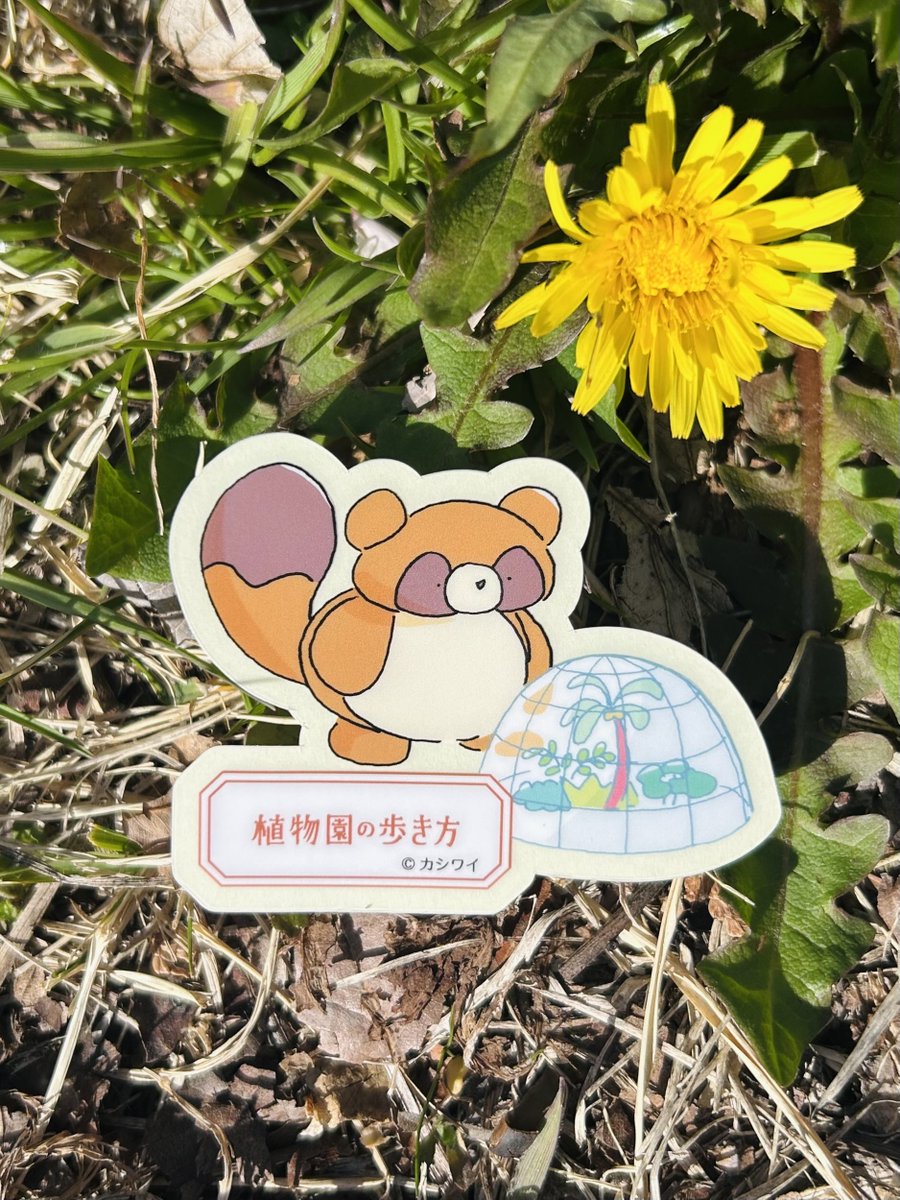 グラフィック社 編集部 tweet media