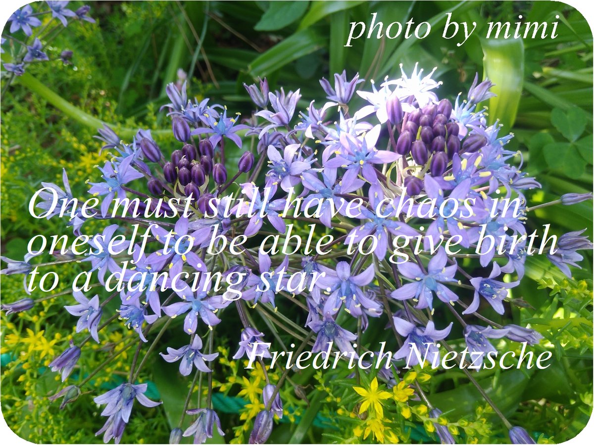 mimi_cafe tweet media