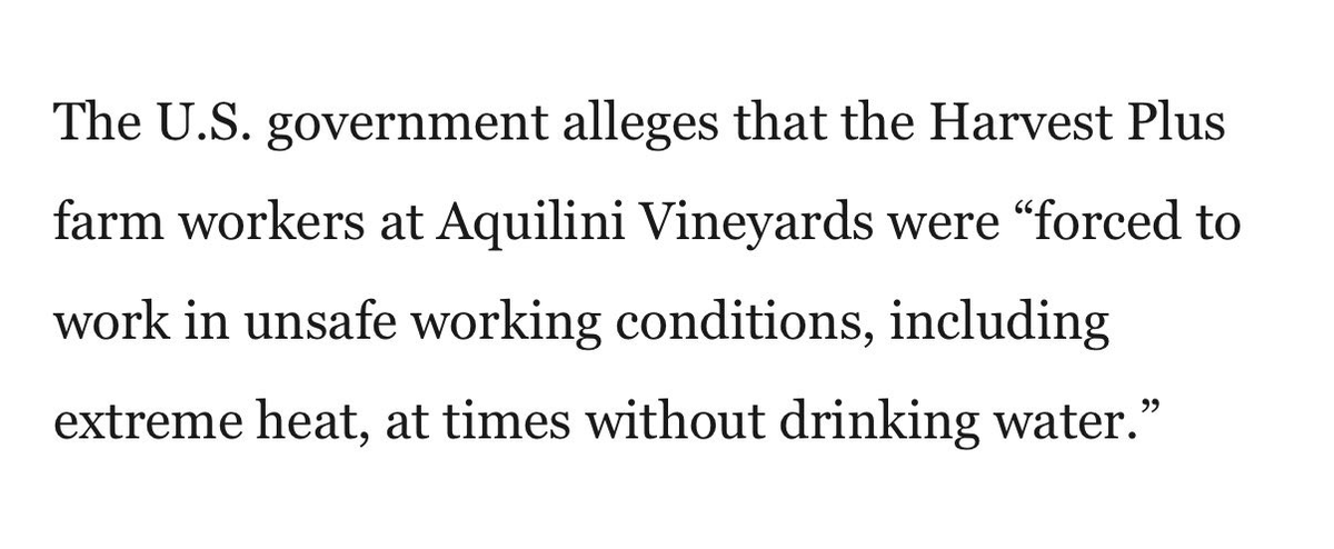 Sapsterr - Edward tweet media