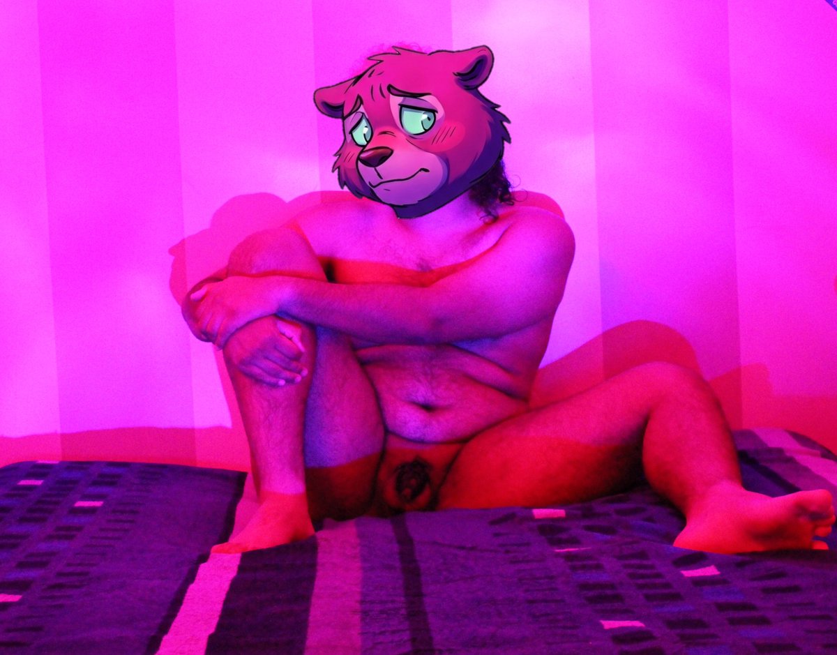 ☆Fred-the-Bear☆ tweet media