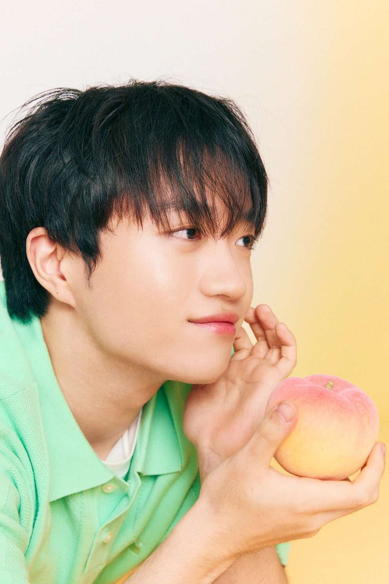 daily 역천괴 tweet media