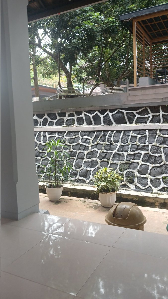 ️️ ️️arsa tweet media