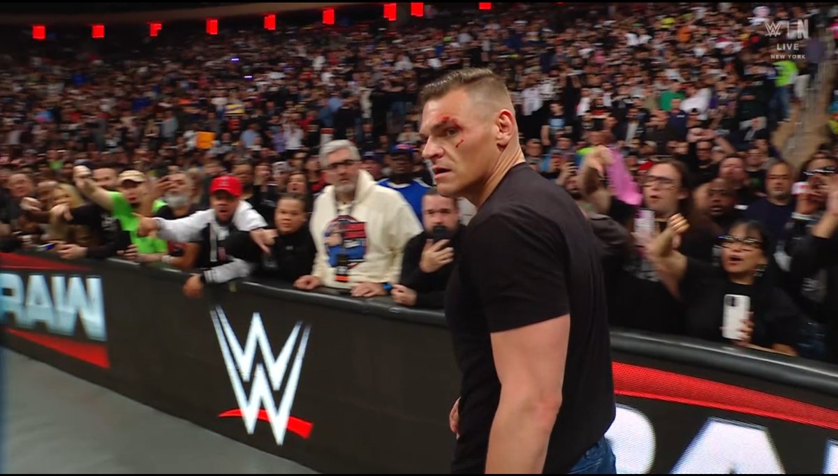 LuigiWrestling tweet media