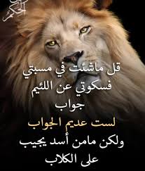 ذوالفقار tweet media