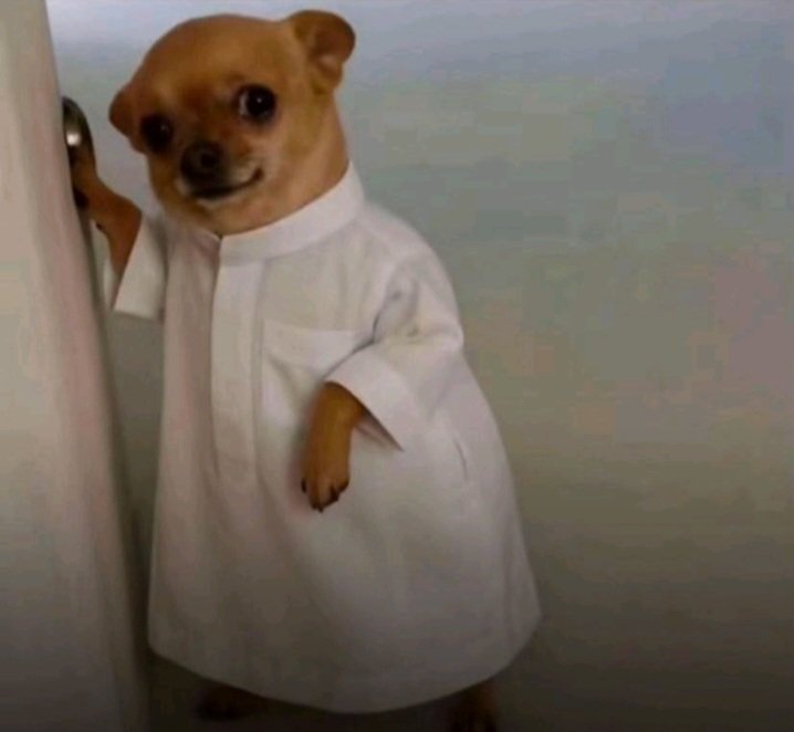 Adebukola Ajetunmobi tweet media