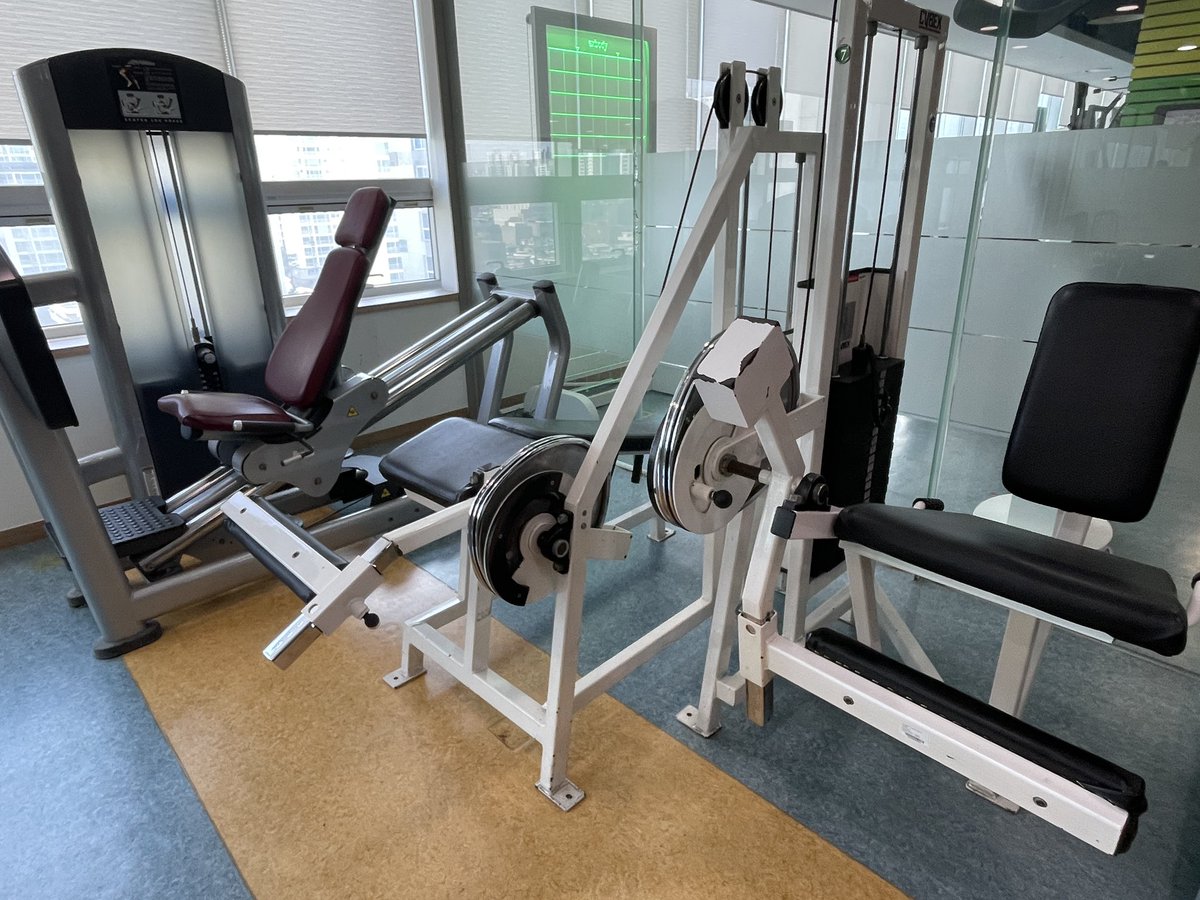 찔레꽃 tweet media