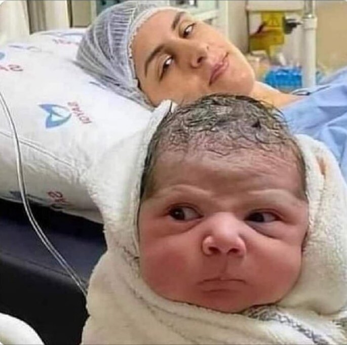 Juan 🇻🇦 tweet media