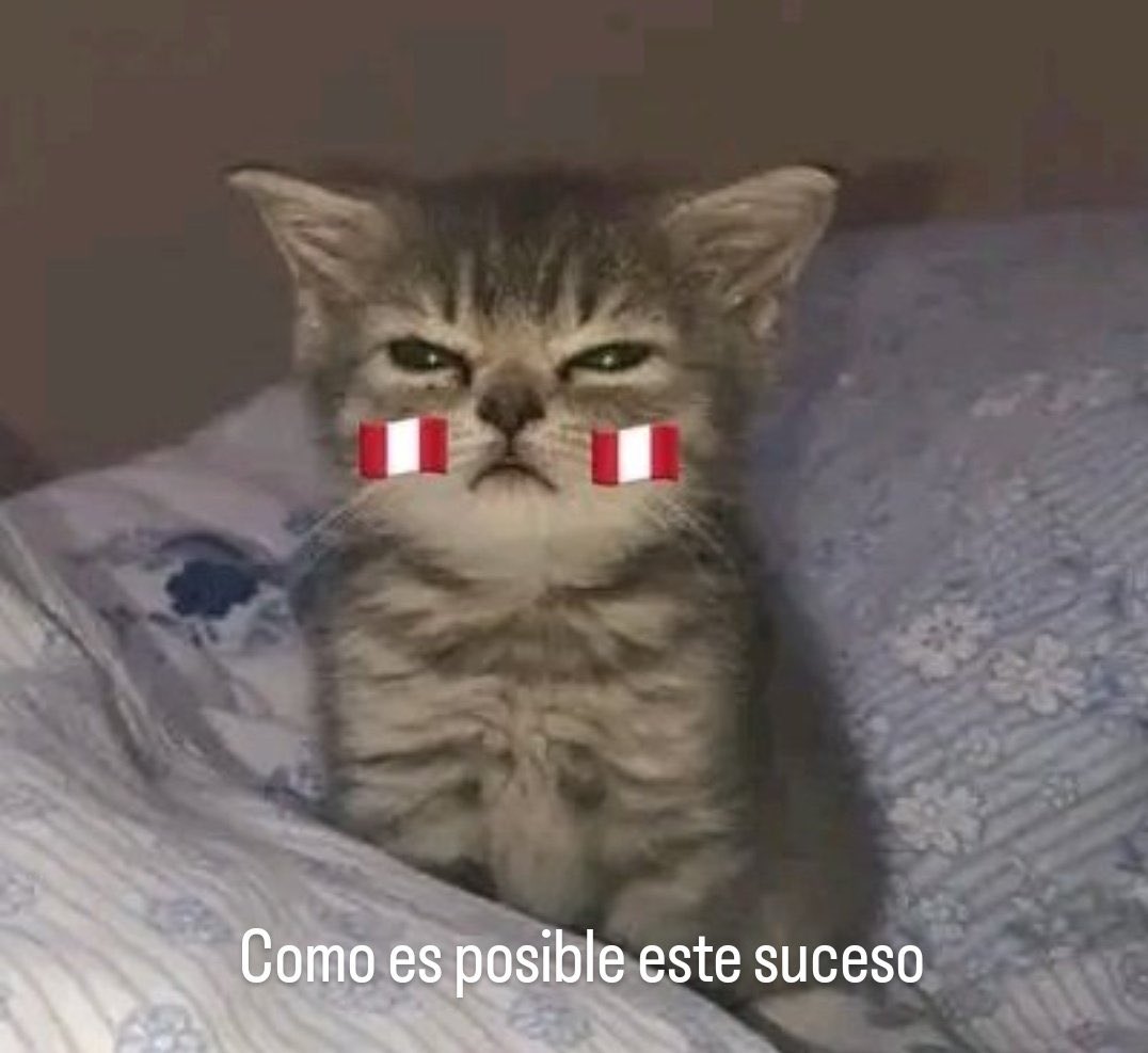 Bluinse 🇵🇪 tweet media