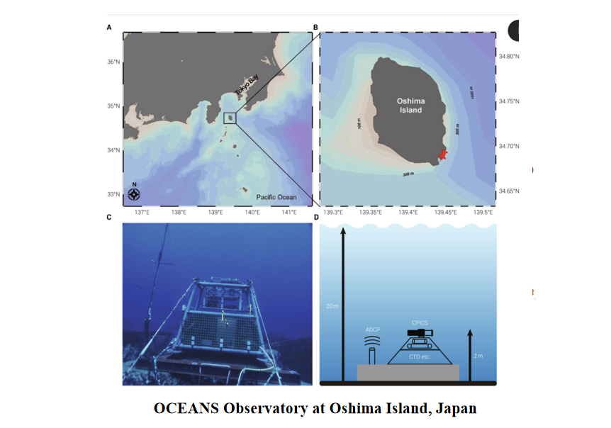 OLARjournal's tweet photo. Four years of continuous ocean observations off Japan reveal how turbulent mixing influences plankton and particle dynamics. Plankton diversity shows a 1/f scaling pattern and a clear diel signal linked to vertical migration. These findings highlight the importance of long-term observations for understanding coastal ecosystem variability.🧐
#ocean #coastal 
@OLARjournal 
https://t.co/HHNDLcWASA