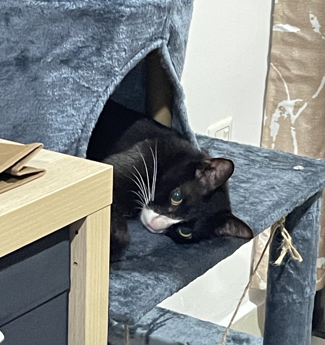 Axel Axotis 🌊🪸 tweet media