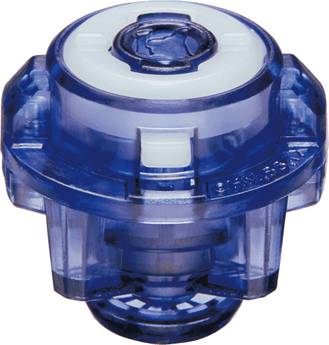 KIO 🇨🇦 tweet media