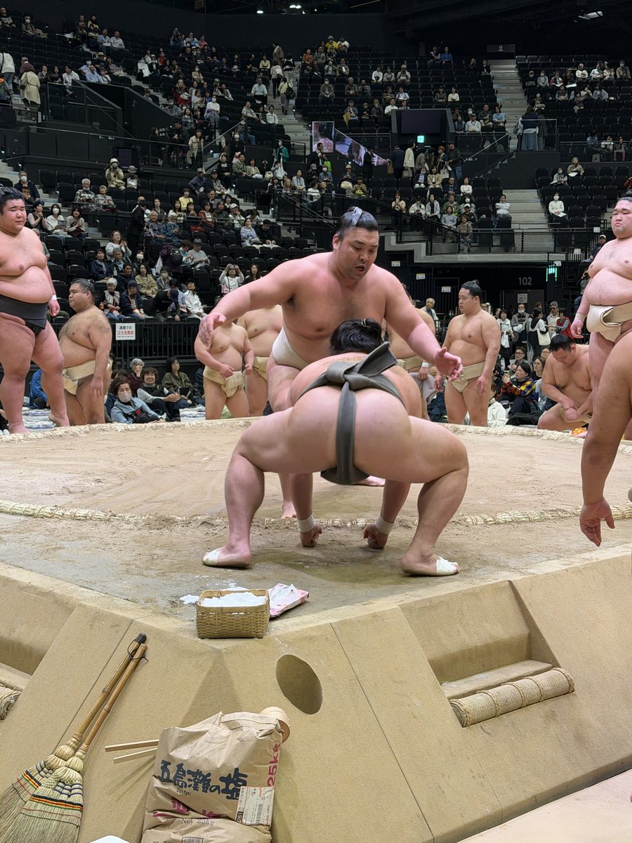 ［公式］音羽山部屋 tweet media