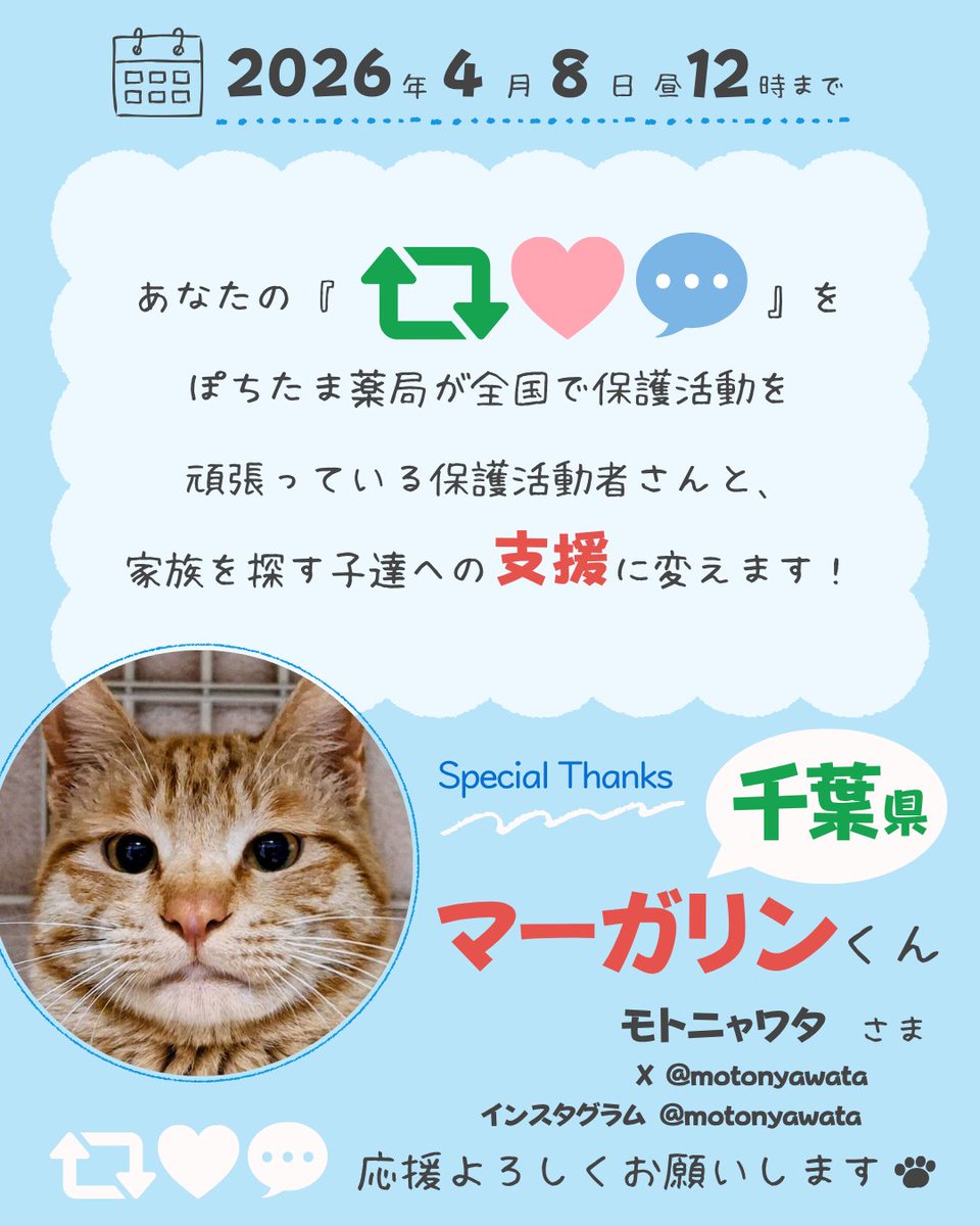 ぽちたま薬局【公式】 tweet media