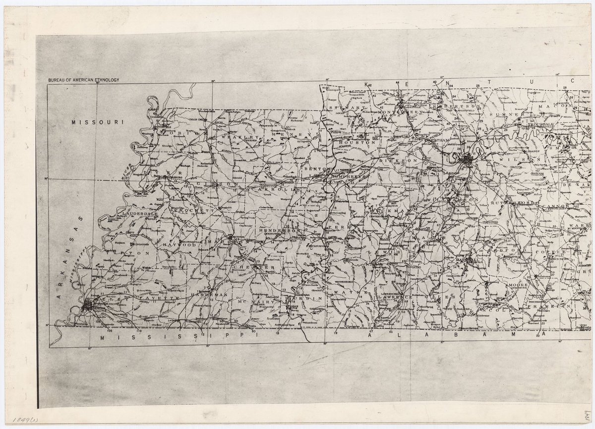 Roland Gunn 🇺🇸 tweet media