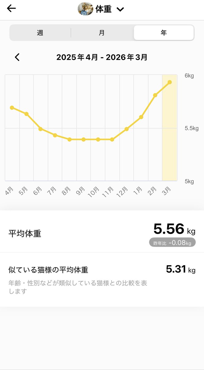 Catlog（キャトログ） tweet media