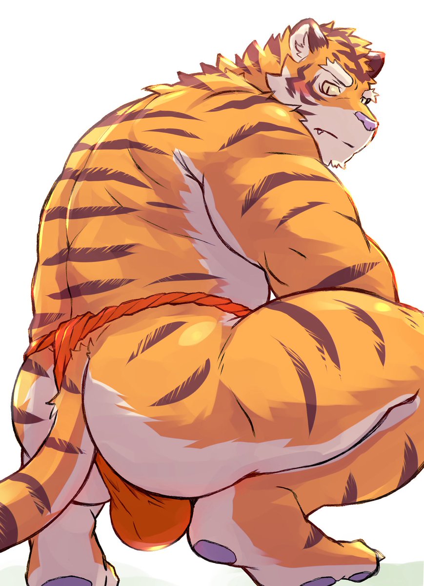 犬神虎哉/とらやん tweet media