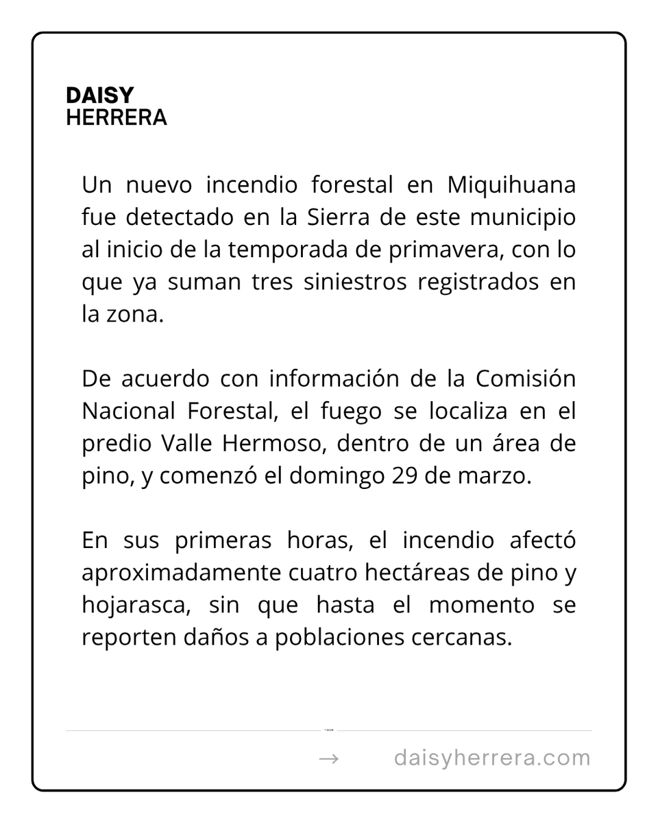 DaisyHerrera.com tweet media