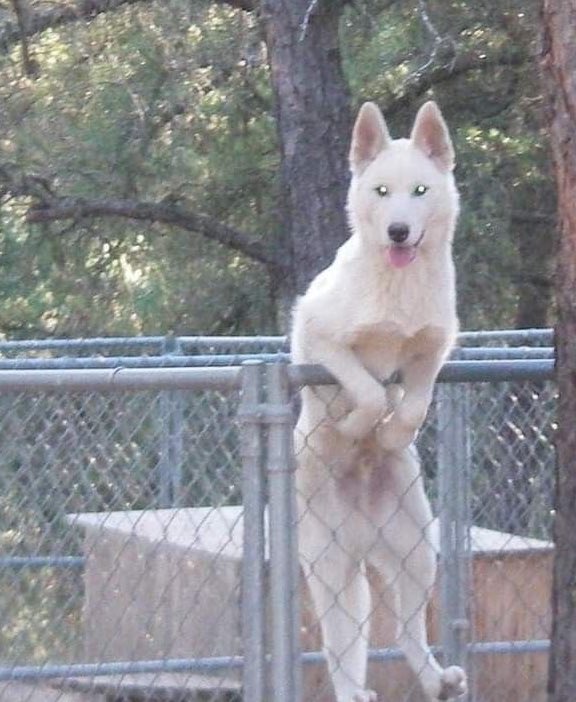 미니⁶⁵ tweet media