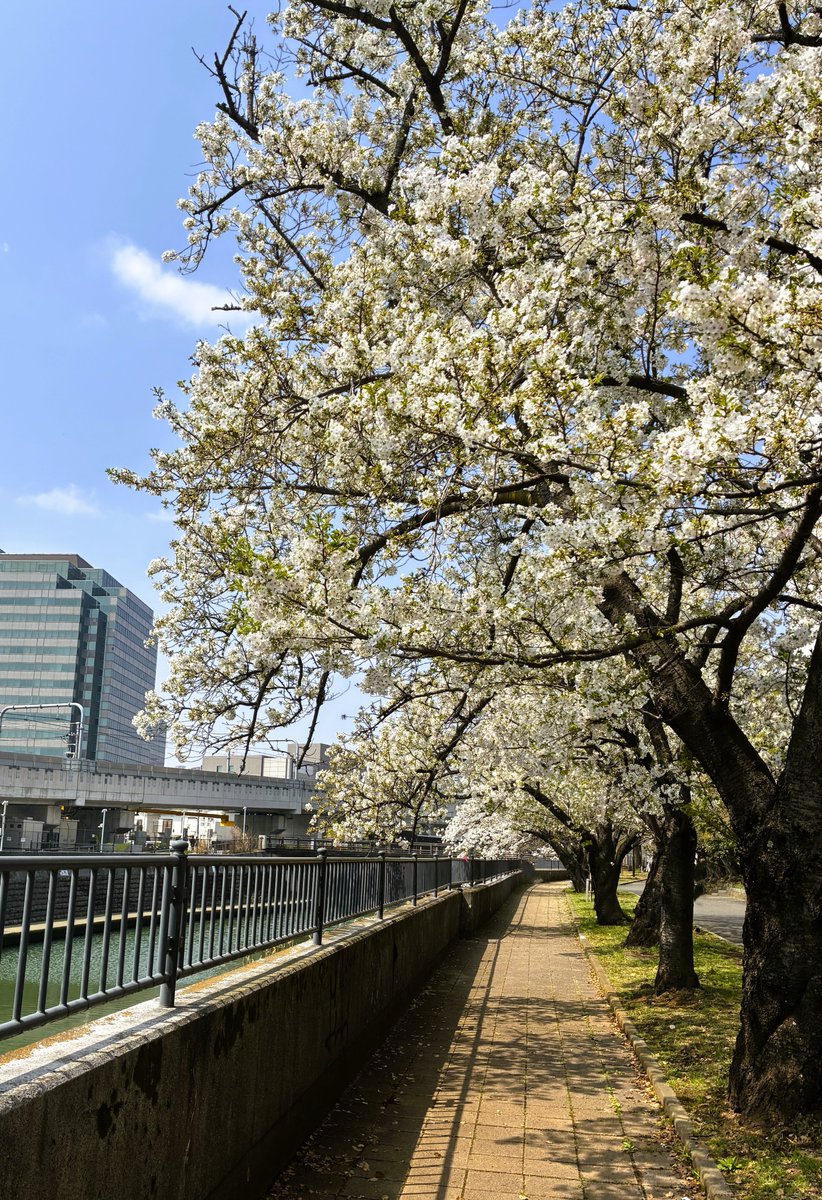 ㈱横浜電業│電気工事会社【公式】 tweet media