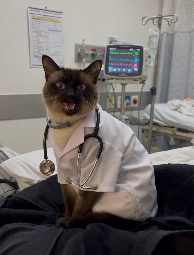 Kim Tittle tweet media