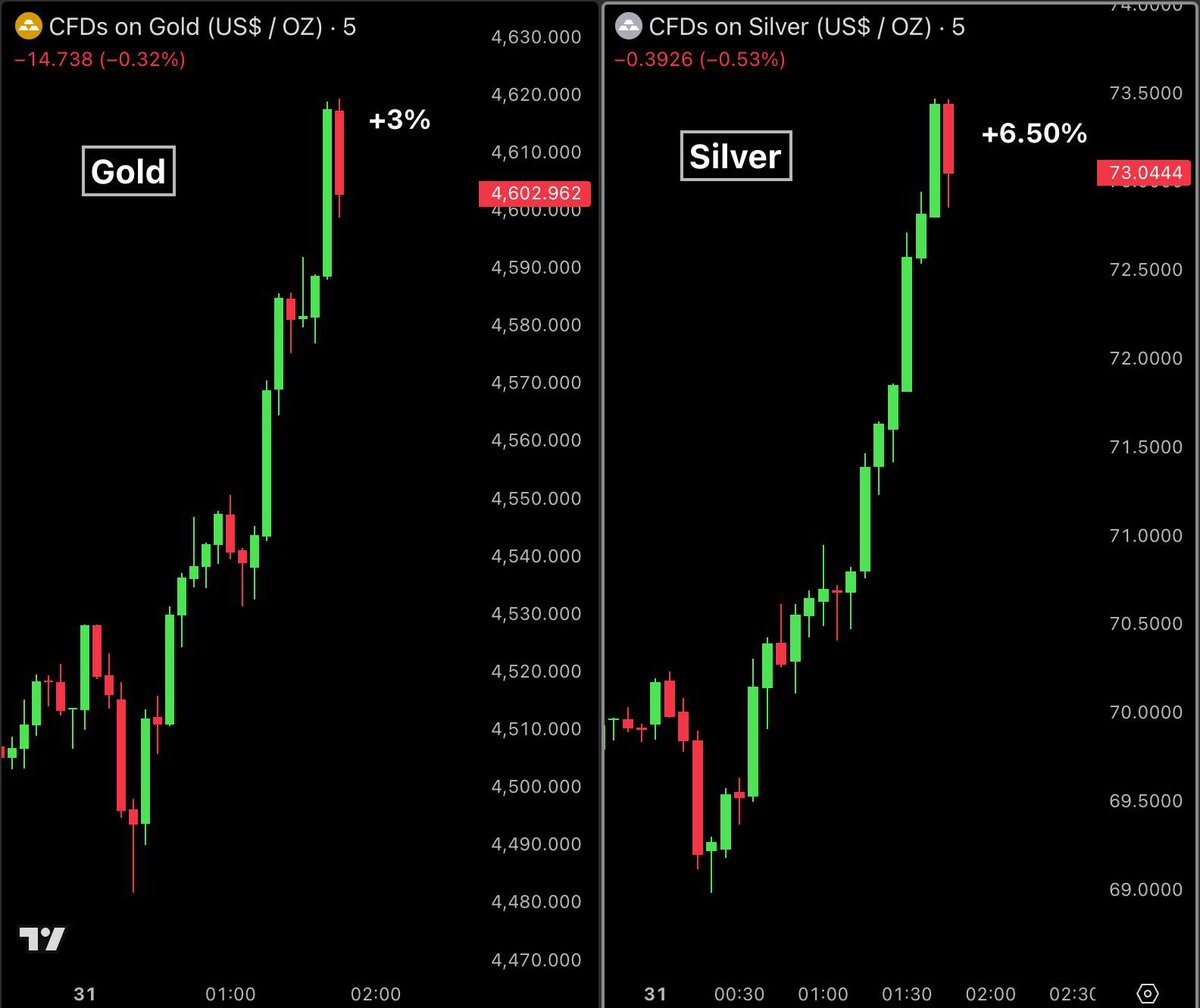 Bull Theory tweet media