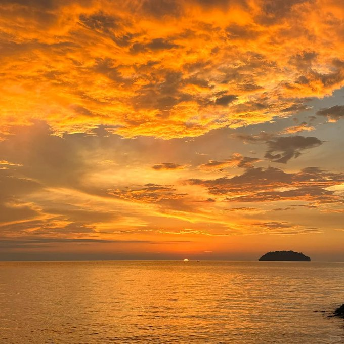 Vicky🌹🌷🌺👛👛 tweet media