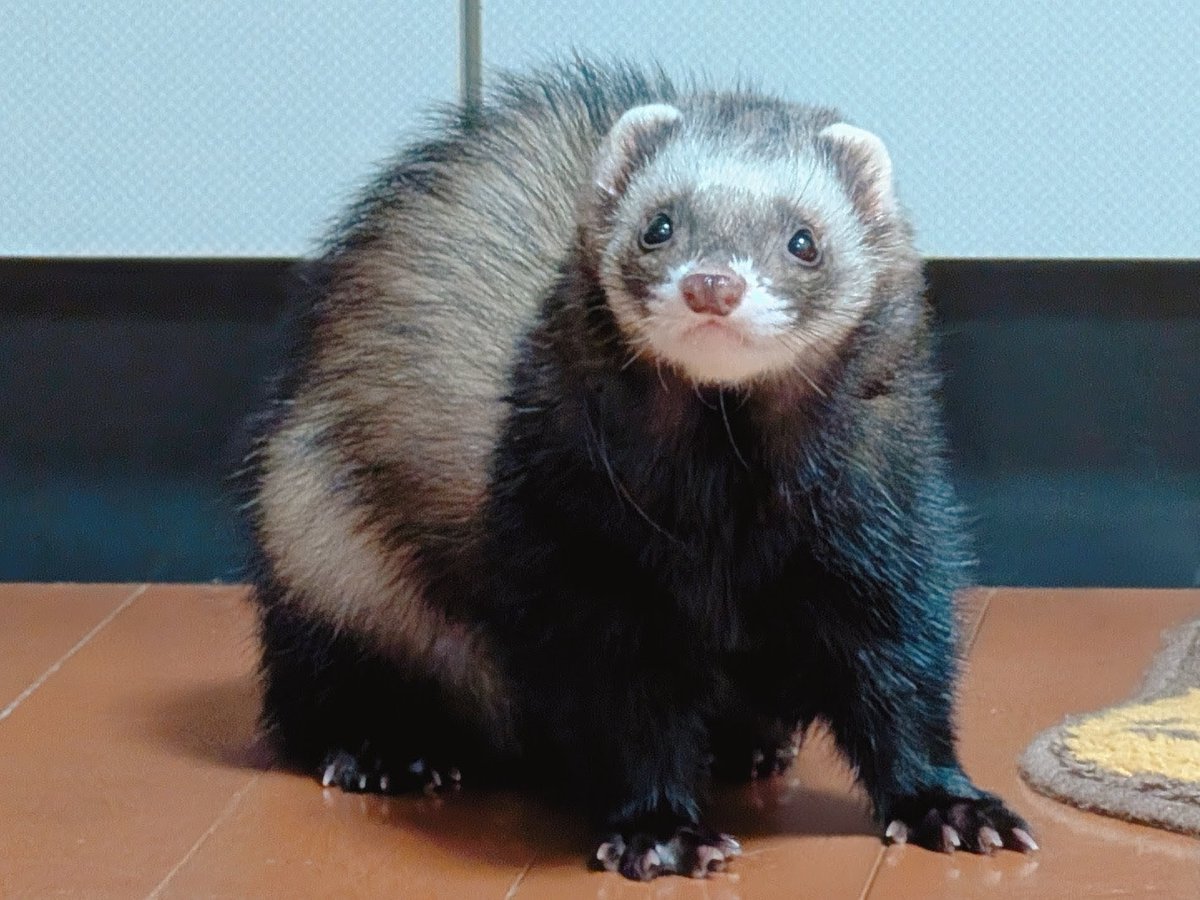 あーか😈↝ tweet media