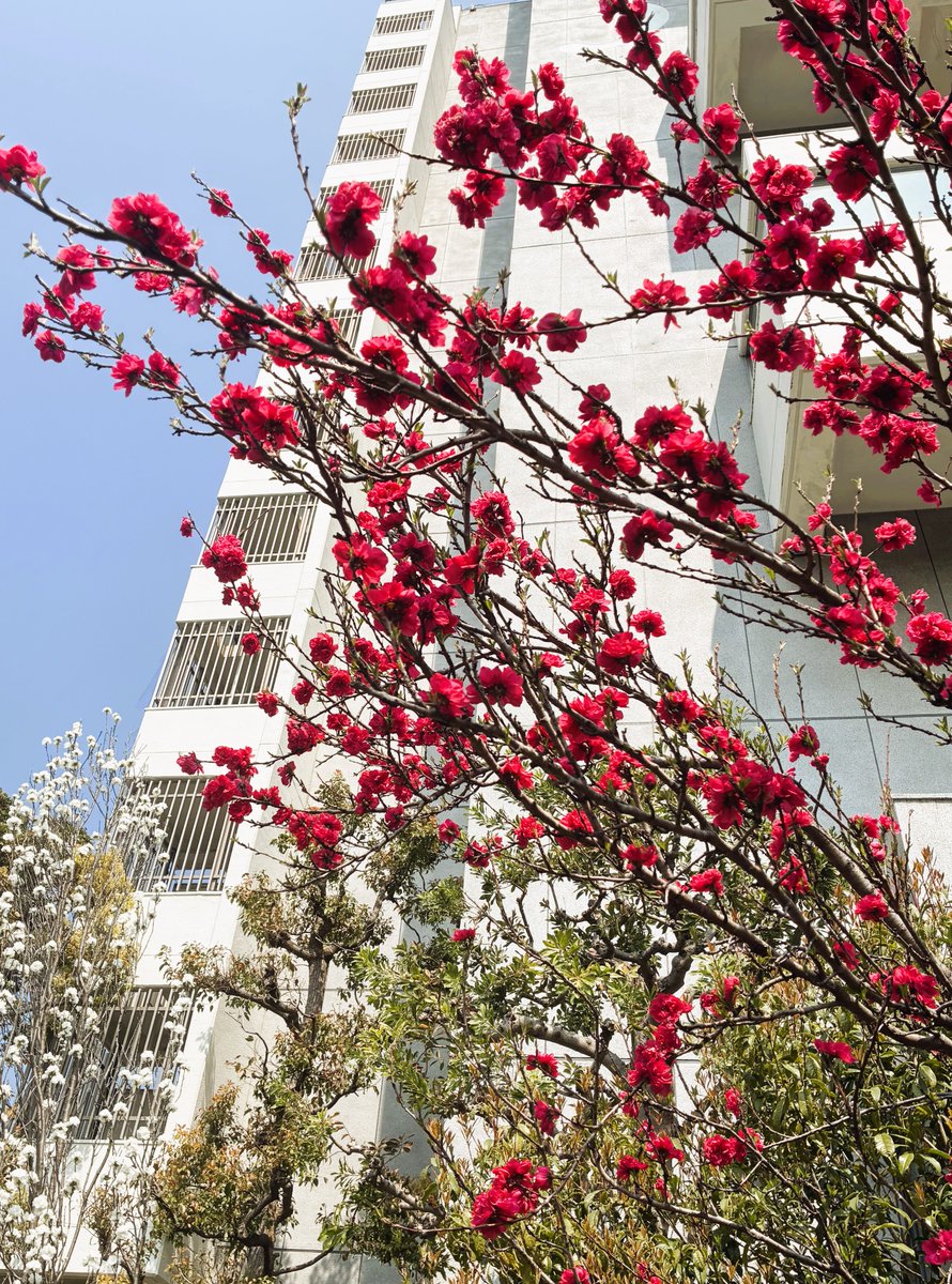 ㈱横浜電業│電気工事会社【公式】 tweet media