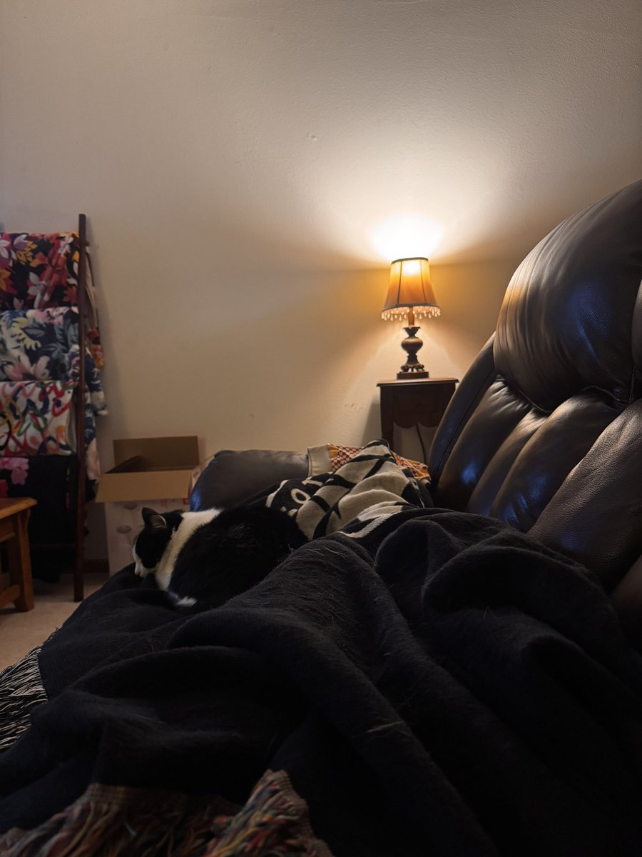 Penjamin Cool tweet media