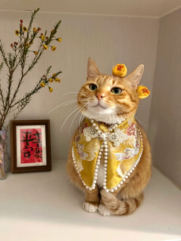 Dewa Kailash tweet media